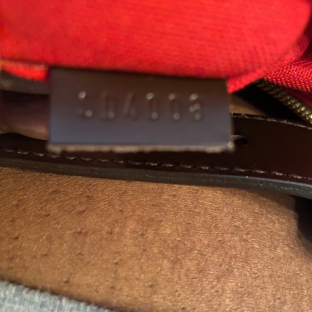 Louis Vuitton crossbody favorite PM.